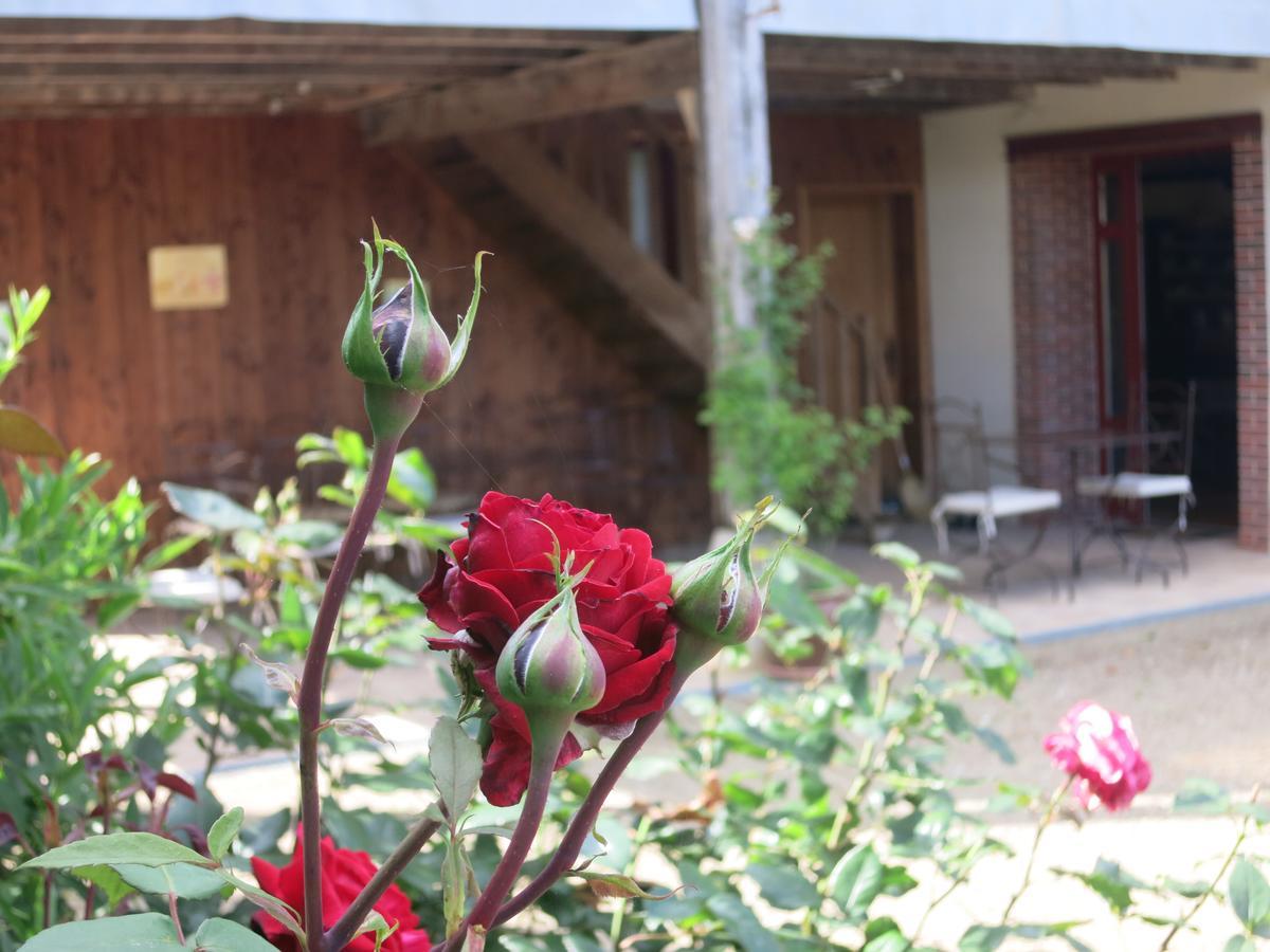 Les Jardins De Lily Ξενοδοχείο Saint-Léonard-de-Noblat Εξωτερικό φωτογραφία